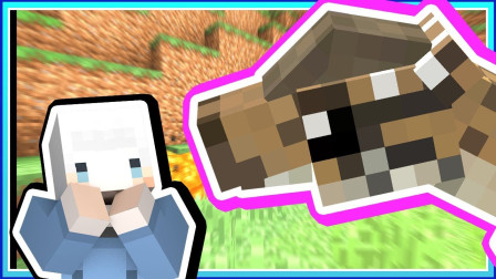 小白解说我的世界炼金与巨兽30 可爱厚头龙诞生饲养区新增两只