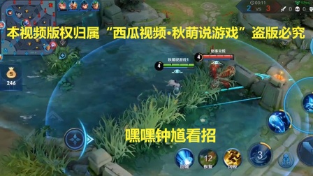 王者荣耀：秒了钟馗就结束了？甄姬这走位打得对面想摔手机了