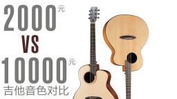 1万元吉他和2千元吉他有多大差距？彩虹人鸟吉他面单L10 vs L200全单