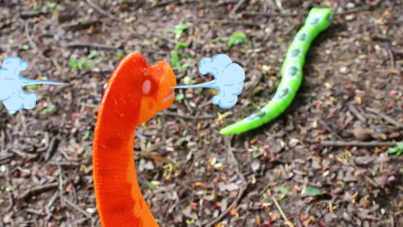 恐龙玩具：青蛇偷吃了恐龙蛋被恐龙发现了，恐龙很生气，与小青蛇决斗