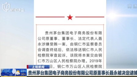 上海早晨 2019 贵州茅台集团电子商务股份有限公司原董事长聂永被决定