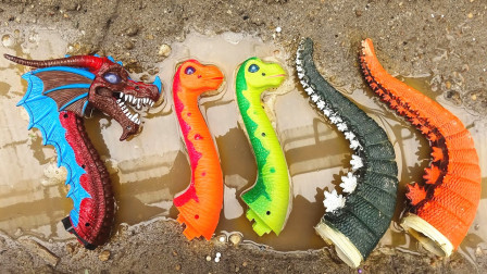 恐龙蛋长成霸王龙,恐龙,拼装有趣的蛇颈龙玩具