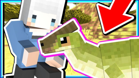 小白解说我的世界炼金与巨兽39 野放草食性恐龙盖安全的防护区