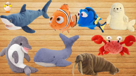 学习海洋动物名称和动物园动物名称儿童教育视频儿童益智游戏