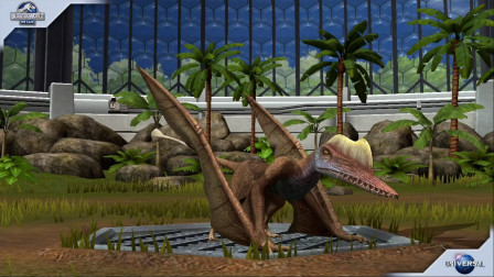 侏罗纪世界游戏第1083期：有个外国人名字的达尔文翼龙★恐龙公园★哲爷和成哥