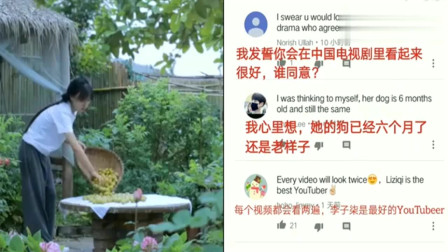 老外看中国：外国人围观李子柒做青梅，网友评论：中国人很聪明！