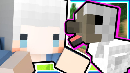 小白解说我的世界炼金与巨兽48 可爱的度度鸟一边走路一边摇