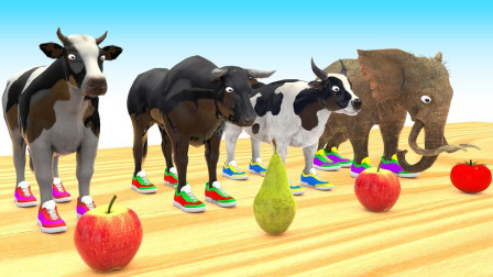 牛象动物吃水果色卡通儿童错颜色运动鞋与牛，婴儿