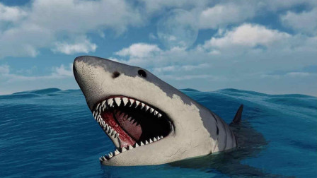 史前巨齿鲨是真实存在的吗？