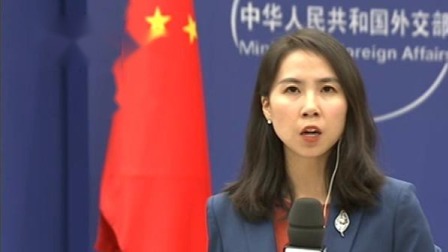 外交部支持香港特区政府依法处置