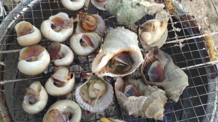 小马哥赶海捡到很多海鲜，在海边来了一个海鲜烧烤大杂烩，太美味了