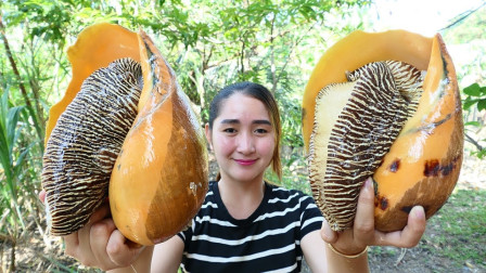 什么是肝癌的介入治疗