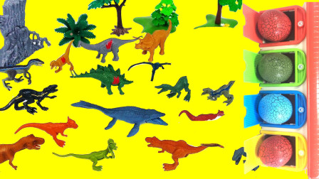 根据图片找正确的恐龙模型