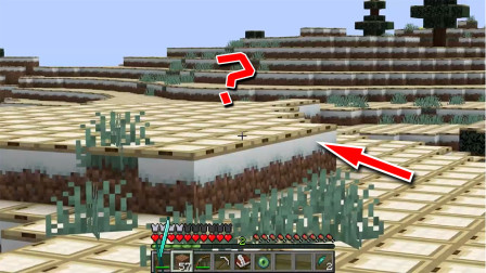我的世界：能吃土，活板门=雪？我快被地图作者耍得快疯了！