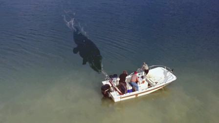 湖中出现怪物，三人坐船用自己当诱饵，结果浮出水面一只大水怪！