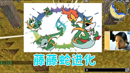 我的世界神奇宝贝4.5 队友全奶藤藤蛇，最终赢家，进化成青藤蛇