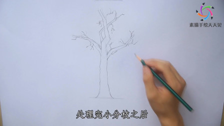 素描速成之大树的画法，简单又易学