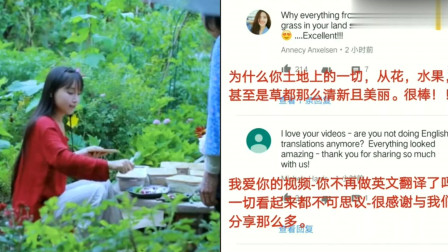 老外看中国：外国人围观李子柒做蛋奶冰淇淋，网友评论：一切都是那么清新！
