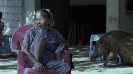 慰安妇纪录片《二十二》票房破亿，家属向导演讨钱！还记得韦绍兰老人最后说的话吗？