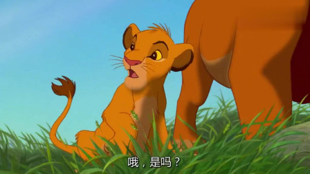 狮子王：小狮子辛巴真可爱，准备去电影院二刷了！