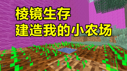 【游戏真好玩】我的世界棱镜生存3：开始做农场，往后终于不用饿肚子了！