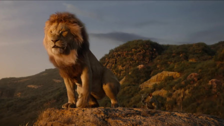 【电影推荐】可曾记得小狮子辛巴成为草原之王？