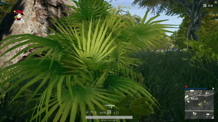 【MsTer贝】绝地求生 4乘4新地图 这么被打死的请举手捂脸