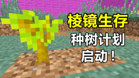 【游戏真好玩】我的世界棱镜生存5：树木不够用怎么办？种树计划，启动！