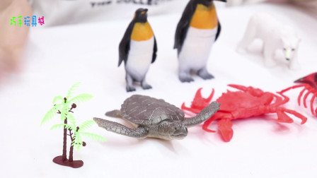 儿童玩具海洋动物，用教育玩具模型，学习海洋动物名称