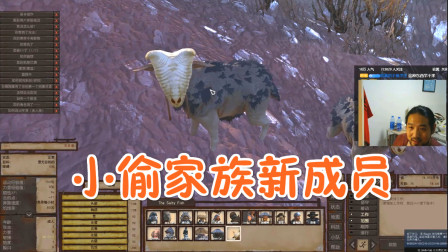 kenshi48 小偷家族新加入了一位成员，结果是一只羊？