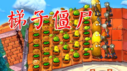 植物大战僵尸 第5-3关 高坚果屋顶阻挡梯子僵尸