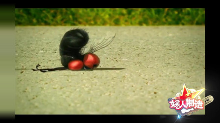 《昆虫总动员2》上映了，小小的昆虫大大的精彩
