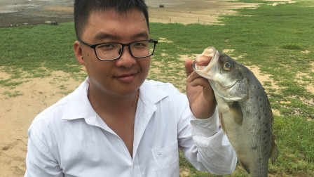 今天赶海非常舒服,小晖抓到一条大鱼,爽!还收获好多珍宝,发财了哦