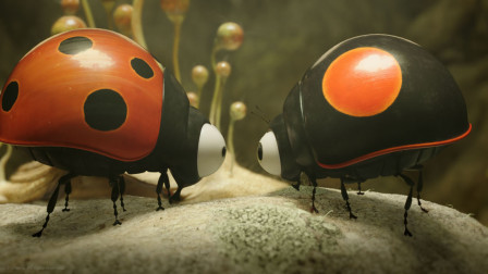 法国动画皇冠！昆虫界的指环王！《昆虫总动员2》用幽默温暖人心！