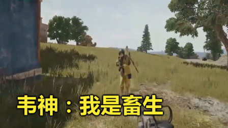 绝地求生：粉丝彻底寒心，千里迢迢给韦神送枪，他竟恩将仇报