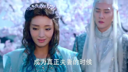 幻城：卡索索要一泪石，岚裳害羞了，我还是未成婚的人鱼公主呢