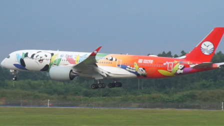 拍了那么多飞机涂装，还是川航的空客A350大熊猫飞机好看