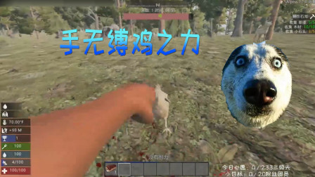 七日杀 屠魔之战01 攻击性极其强烈的小鹿鹿 一血？