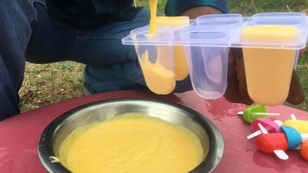 印度土豪家庭的零食，用芒果汁做雪糕，还用上了冰箱！