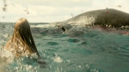 鲨滩：美女意外受伤，血腥味竟引来了鲨鱼，赶紧往鲸鱼尸体上逃