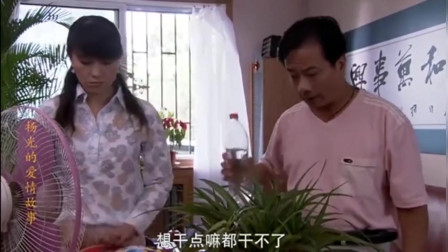 杨光的爱情故事：老婆准备买房子，谁知杨光的一句话让我笑喷了！