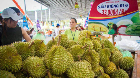 国内昂贵的水果之王“榴莲”，都说越南人都当饭吃？