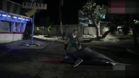 鲨卷风：除鲨二人组开飞机战鲨鱼