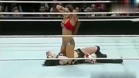 wwe女子摔跤撕丝袜 WWE：美国职业摔跤女子摔跤赛