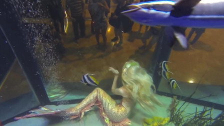 美国有家水族馆，养了一条“美人鱼”，吸引众多游客来欣赏！