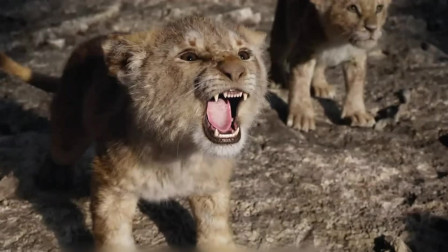 《狮子王》辛巴没听妈妈的话，差点成了鬣狗的晚餐！