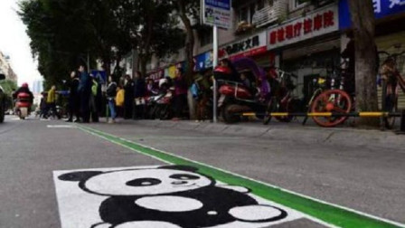 停车位里躺个熊猫是什么意思停错会扣3分罚200车主注意