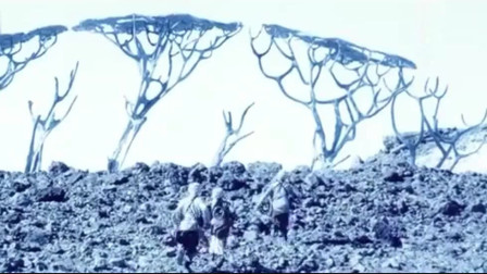星际传奇：众人落难到外星，发现树都长得很奇怪，还有巨大兽骨