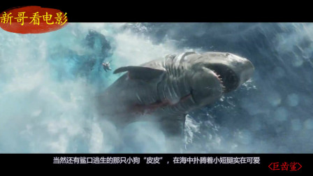 电影：《巨齿鲨》郭达携手李冰冰打造的科幻大片，值得一看