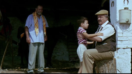 豆瓣9.0高分的土耳其电影：父爱真的没有国界，看完我怕你会哭